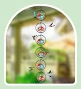 Charming Wind Chimes Hummingbird feeders for Outdoors Hanging ant and bee Proof — collection imagery