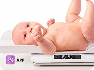 Wiggle-Proof Digital Pet Scale for Cats — collection imagery