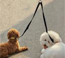 No Tangle Dog Leash Coupler — Dual Double Dog Adjustable Splitter Lead Sturdy Walker Trainer Leash for Two Dogs…