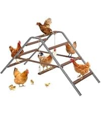 4 Holes Chicken Nesting Box — PVC Waterproof Roof — collection imagery