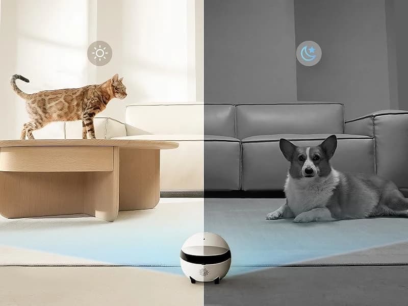ROLA Mini Pet Camera Robot: 2K FamilyBot Mobile Home Companion — Stay Connected Even When Away