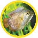 GloFish Artificial Bamboo Plant