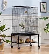 64-Inch Open Top Bird Cage for Parakeets and Cockatiels — collection imagery