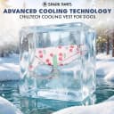 Dog Cooling Vest - Evaporative Summer Cooling