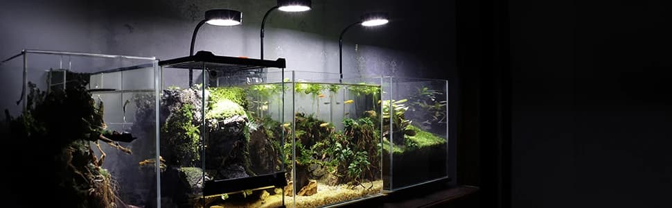 Aquarium and Terrarium Light Full Spectrum LED — collection imagery