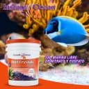 Reef Crystals Reef Salt for Reef Aquariums