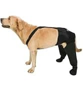 Dog Lift Harness, Pet Support and Rehabilitation Sling Lift Adjustable Padded Breathable Straps for Old — collection imagery