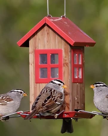 Metal Bird Feeders for Outdoors Hanging — collection imagery