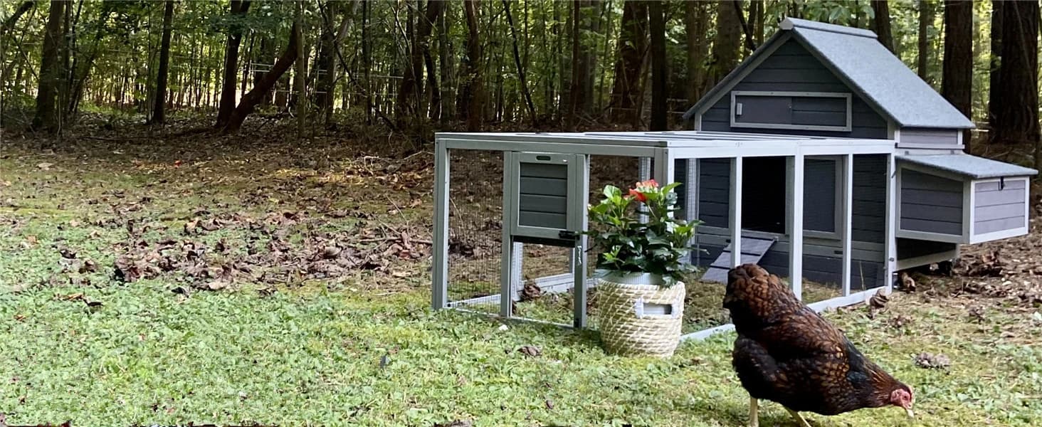 Large Chicken Coop on Wheels Mobile Wooden Hen House Weatherproof Duck Poultry Cage 67.3" L for 6-8 Chickens — collection imagery