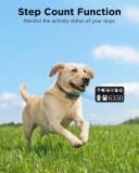 GPS Wireless Dog Fence — No Subscription Dog Collar for Dogs 15Lbs+