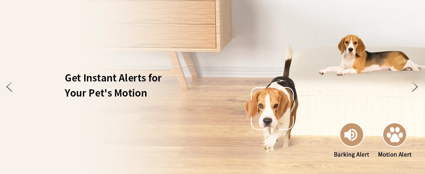 2K Pet Camera Treat Dispenser — collection imagery