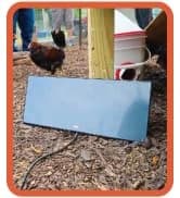 Cozy Coop Chicken Coop Heater — collection imagery