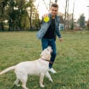 3.5” Squeaky Dog Toy Balls (6 Colors) Puppy Chew Toys for Teething