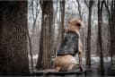 Final Stand Dog Adjustable Training Platform and Storage Panel | Hunting Stand | Elevated Pet System for Place — Style Name: FINAL STAND
