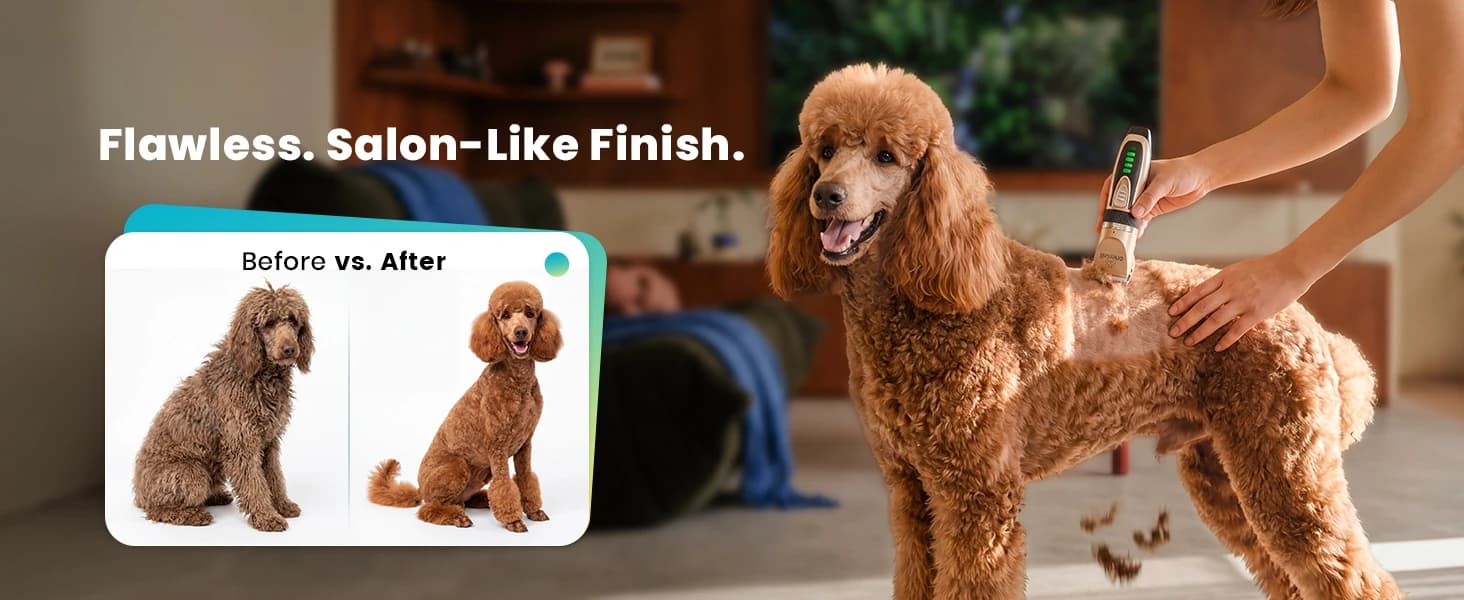 Dog Grooming Clippers with LED Display for Dogs and Cats — collection imagery