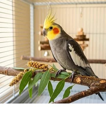 Bird Chew Toys Large Untreated Balsa Wood 10 Pack — collection imagery