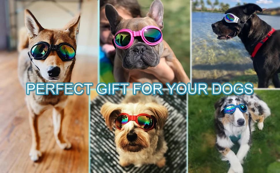 Dog Sunglasses Dog Goggles for Medium and Large Breed Dogs Eye Protection — product details