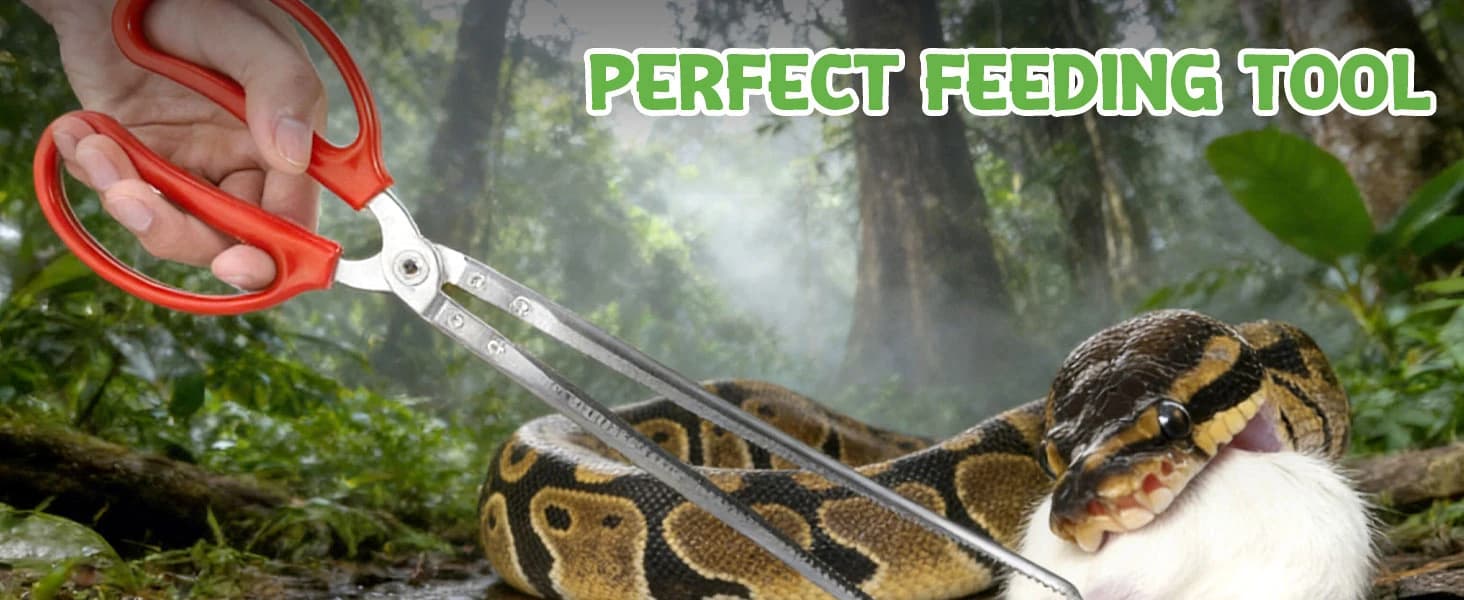 Snake Feeding Tongs,15 Inch Reptile Feeding Tongs — product details