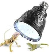 Reptile Humidifier — Mini Automatic Misting System for Reptile Terrariums — collection imagery
