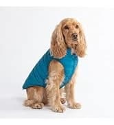 Dog Cooling Vest - Evaporative Summer Cooling — collection imagery