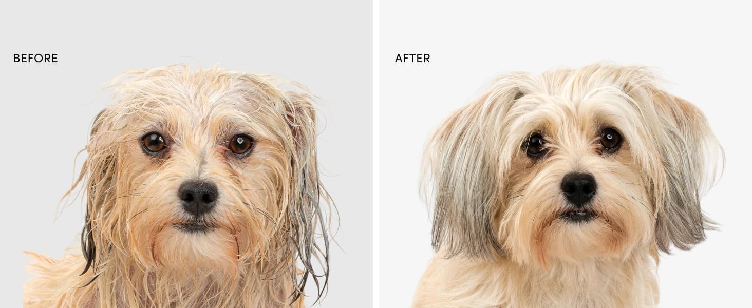 Fur Bébé Pet Shampoo - Mercer Street Scent (16 Fl oz) — collection imagery