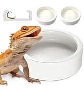 Reptile Food Dish Bowl — 2Pcs Lizard Gecko Worm Water Bowls Small (2.75in) — collection imagery