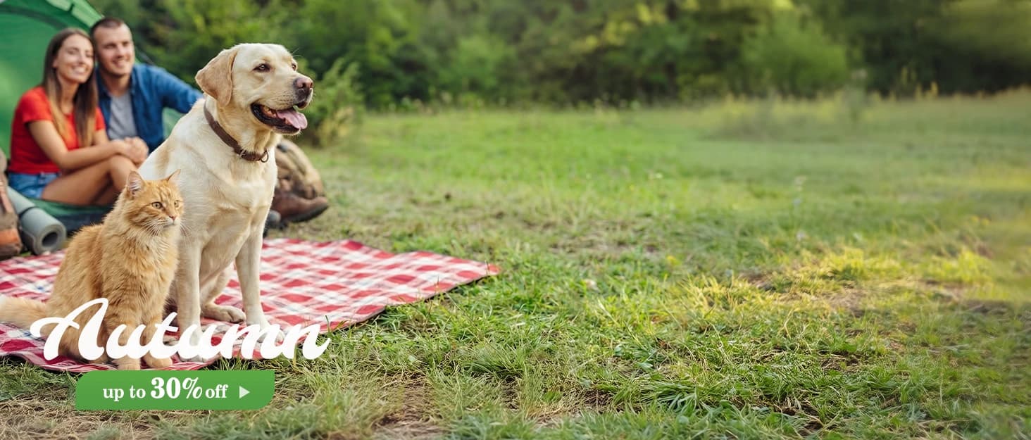 Raised Dog Bed with Cooling Mat — collection imagery