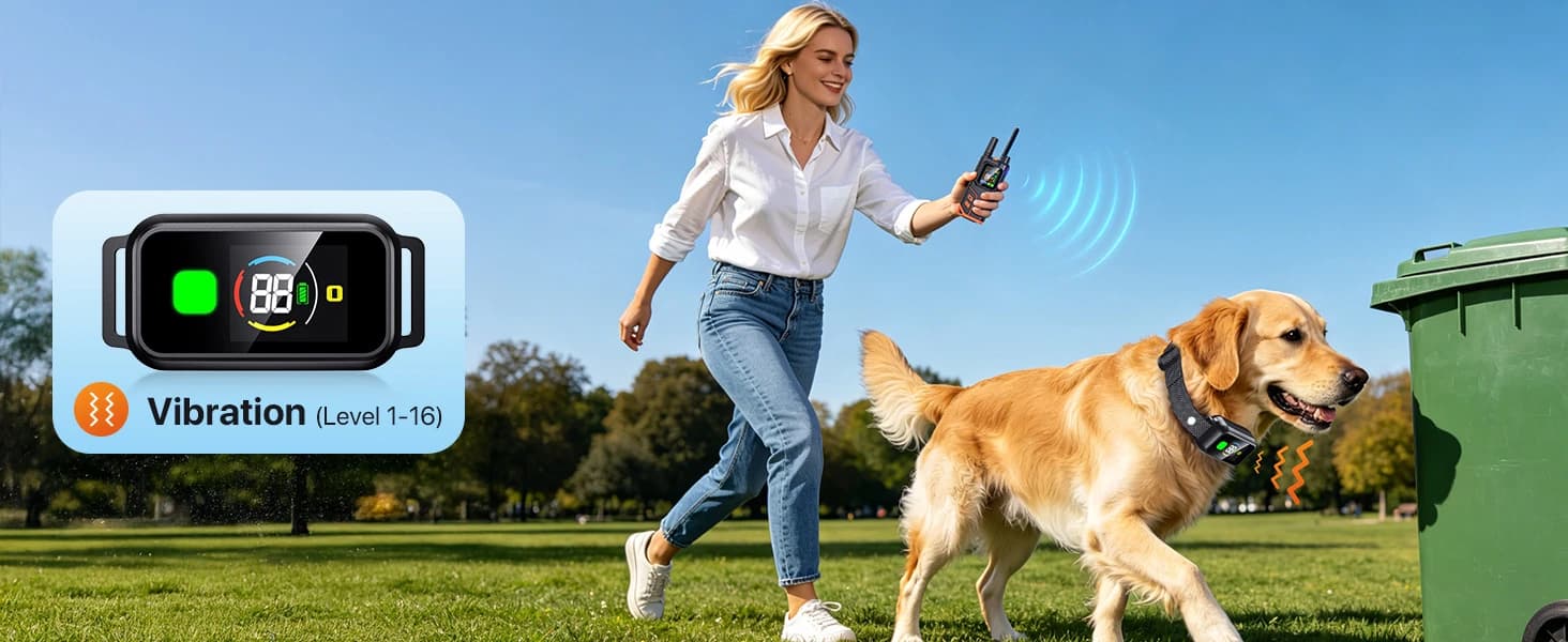 2 In1 Wireless Dog Collar Fence System and Training Collar — collection imagery