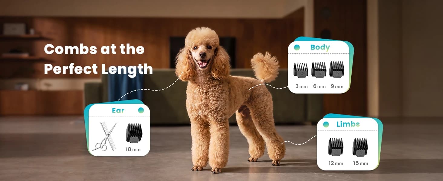 Dog Grooming Clippers with LED Display for Dogs and Cats — collection imagery