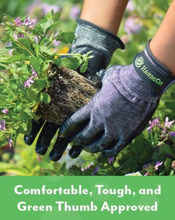 Flexible Rubber-Nodule Pet Grooming Gloves — collection imagery