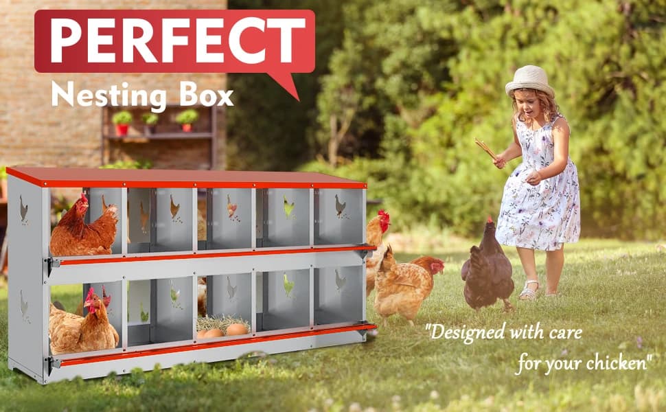 Chicken Nesting Boxes - 10 Compartment Metal Poultry Nest Box Wall Mount for Chickens — Hens — Chicken Nesting Boxes - 10 Compartment