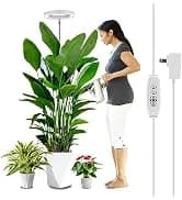 350W 7000 GPH Pond Pump — Ultra Quiet Heavy Duty Submersible Water Pump for Koi Ponds — collection imagery