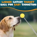 Dog Training Clicker with Target Stick – Portable and Retractable Trainer with Comfortable Handle and Bright