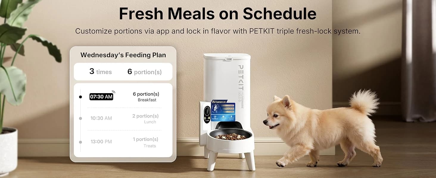 Upgraded Multi-Cat Recognition Automatic Cat Feeder with Camera — collection imagery
