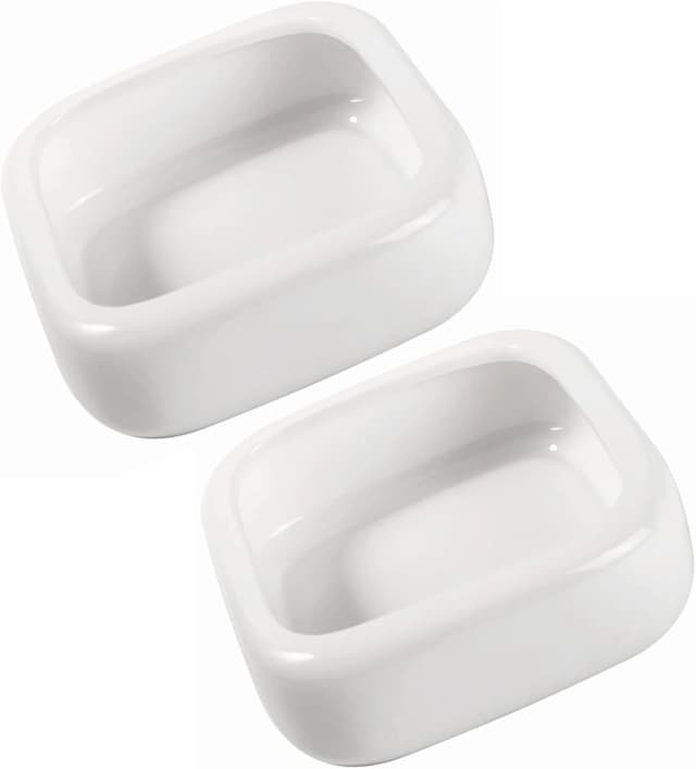 Ceramic Reptile Food Bowls — Reptile Water Food Dish