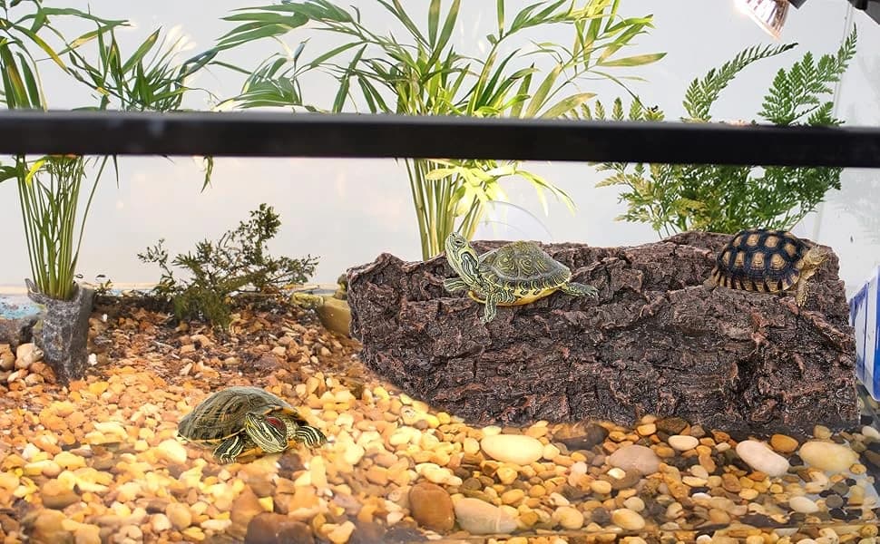 Turtle Basking Platform — Fish Tank Aquarium Tortoise Climbing Platform with 3 Suction Cups — Turtle Basking Platform