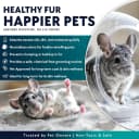3 LB Chinchilla Dust Bath Jar