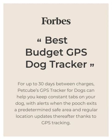 GPS Tracker for Dogs – Real-Time GPS Tracking and Escape Alerts — collection imagery