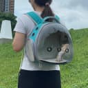 Portable Travel pet Backpack Carrier Hamster Bag Guinea Pig Bird Small Dog and Cat Turtle Carrier Rabbit Cage