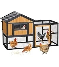 4 Holes Chicken Nesting Box — PVC Waterproof Roof — collection imagery