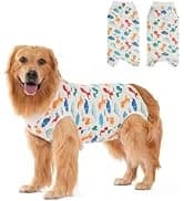 Dog Backpack for Small Dogs to Wear — collection imagery