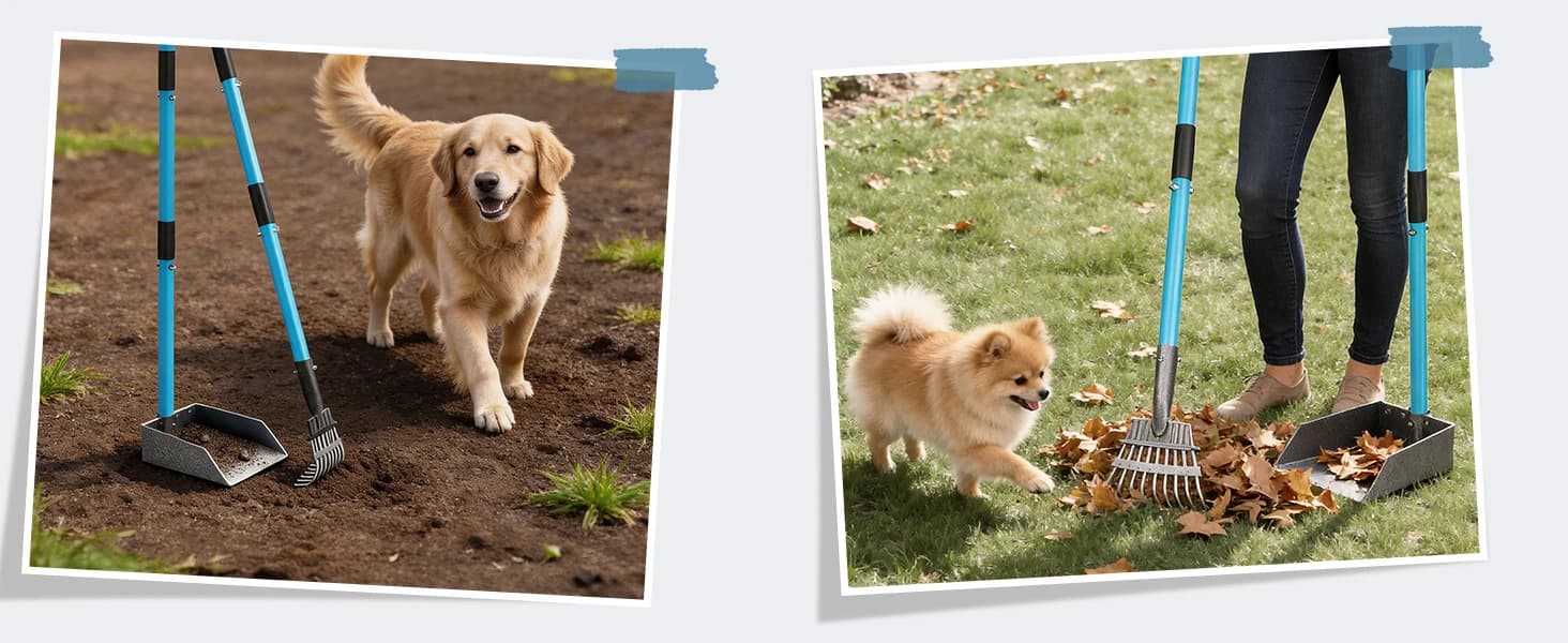 Dog Pooper Scooper — Stainless Metal Poop Scooper for Yard Long Handle — collection imagery