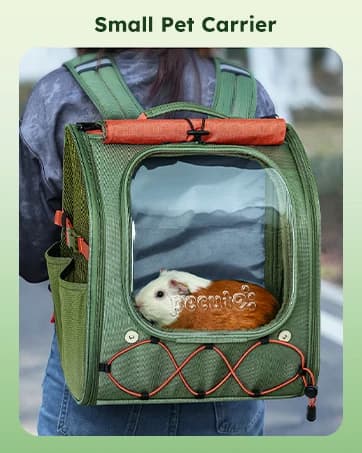 Raised Dog Bed with Cooling Mat — collection imagery