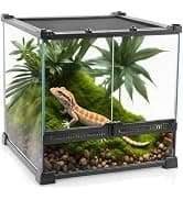 Reptile Chameleon Cantina Drinking Fountain Water dripper Supplied with Feeding Tongs and Frosted Tweezer for — collection imagery