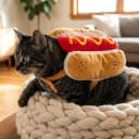 Hot Dog Costume for Dogs — Funny Hot Dog Dog Costume with Adjustable Fit