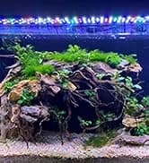 2100GPH Double Head Aquarium Wave Maker — collection imagery