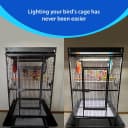 HappyBird Lighting Bird Cage Light with Chew Guard - Full Spectrum LED Pet Light - Simulates Natural