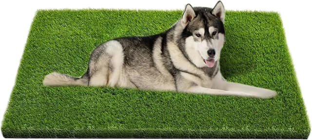 Artificial Grass — 47.3"x31.5" Professional Dog Grass Mat