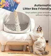 P1 Pro Dog Grooming Vacuum — 6-in-1 Kit — collection imagery