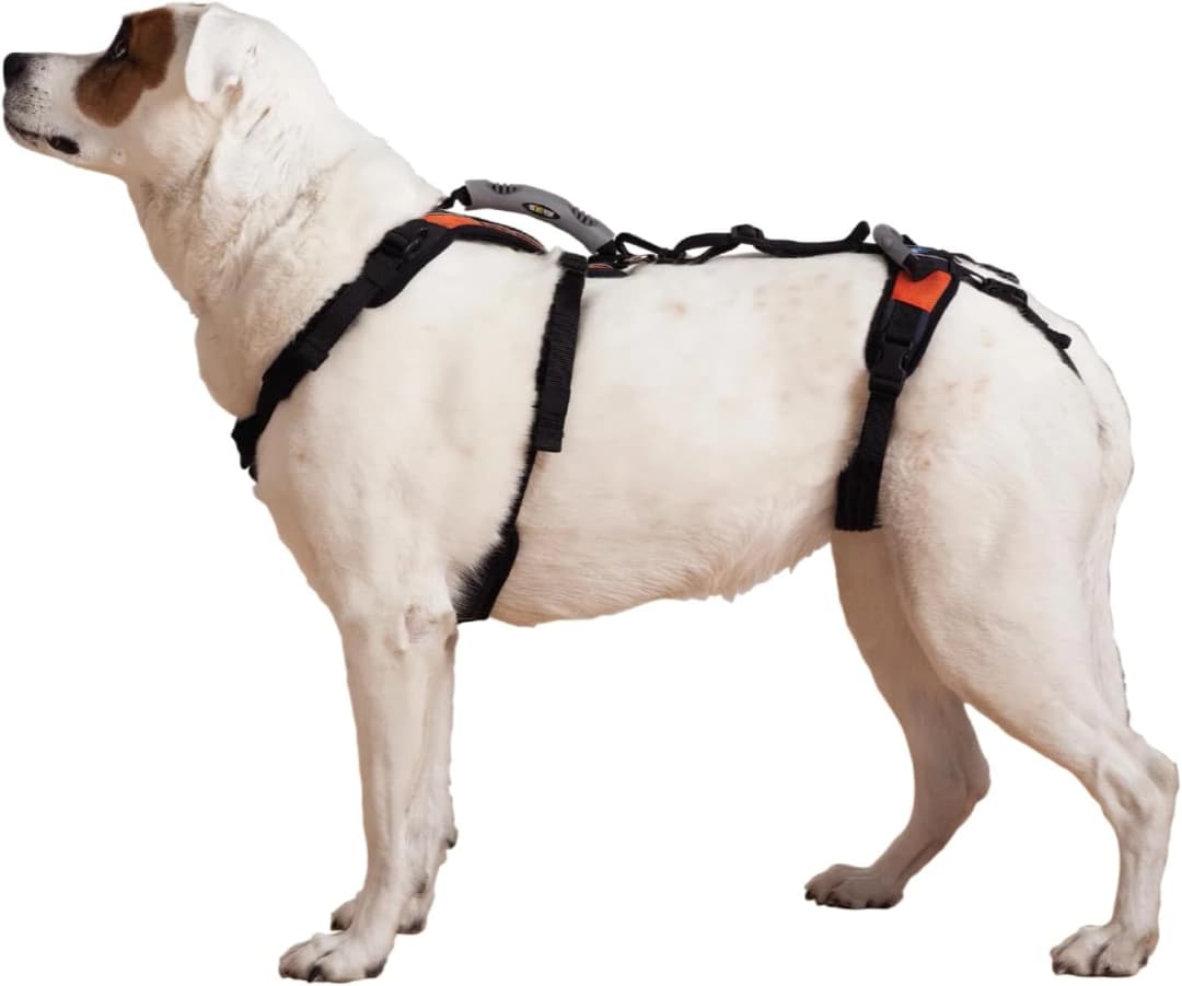 Dog Lift Harness — Full Support